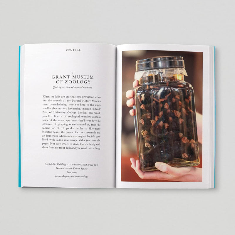 Opinionated Guide To Big Kids London grant museum