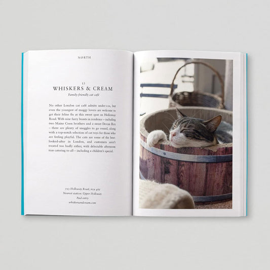 Opinionated Guide To Big Kids London cover