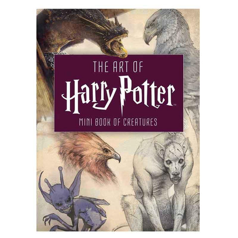 Introducing our HARRY POTTER collection 