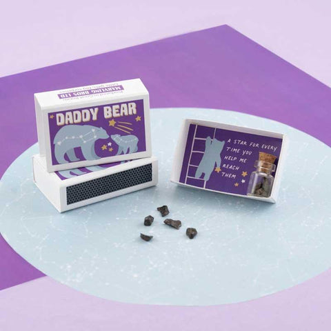 Daddy Bear Meteorite Gift In A Matchbox - Postboxed