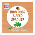 How Does A Seed Sprout - Postboxed