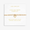 Joma Jewellery A Little Always And Forever Family Bracelet packaged