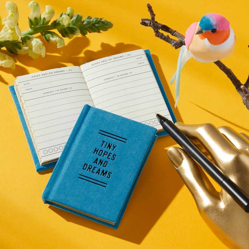 Tiny Diary For Hopes and Dreams writing