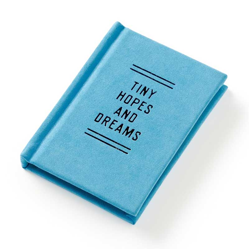 Tiny Diary For Hopes and Dreams front