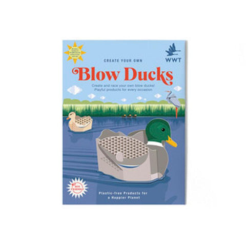 Create Your Own Blow Ducks - Postboxed