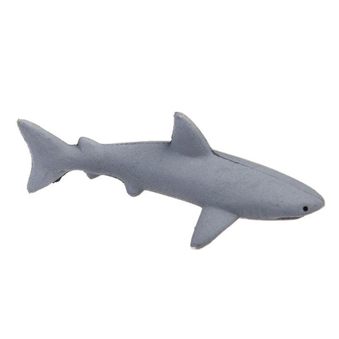 Grow Your Own Shark - Postboxed