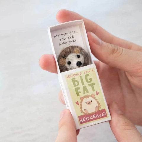 Sending You A Hedgehug In A Matchbox - Postboxed