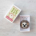 Sending You A Hedgehug In A Matchbox - Postboxed