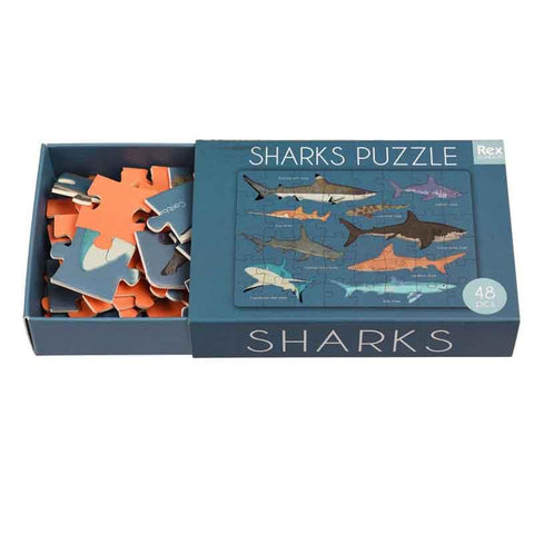 Shark Gift Box - Postboxed