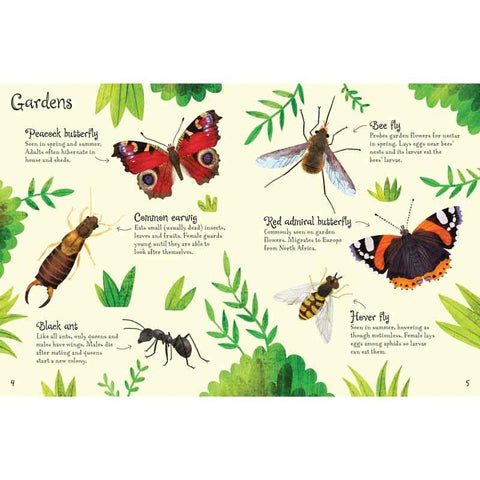 Usborne Minis Bugs Or Woodland Life To Spot - Postboxed