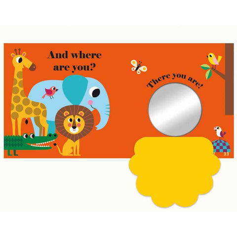 Where's Mr Lion Buggy Book - Postboxed