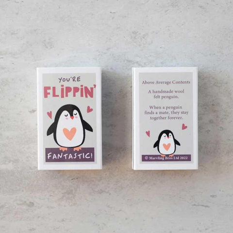 You're Flippin' Fantastic Penguin In A Matchbox - Postboxed